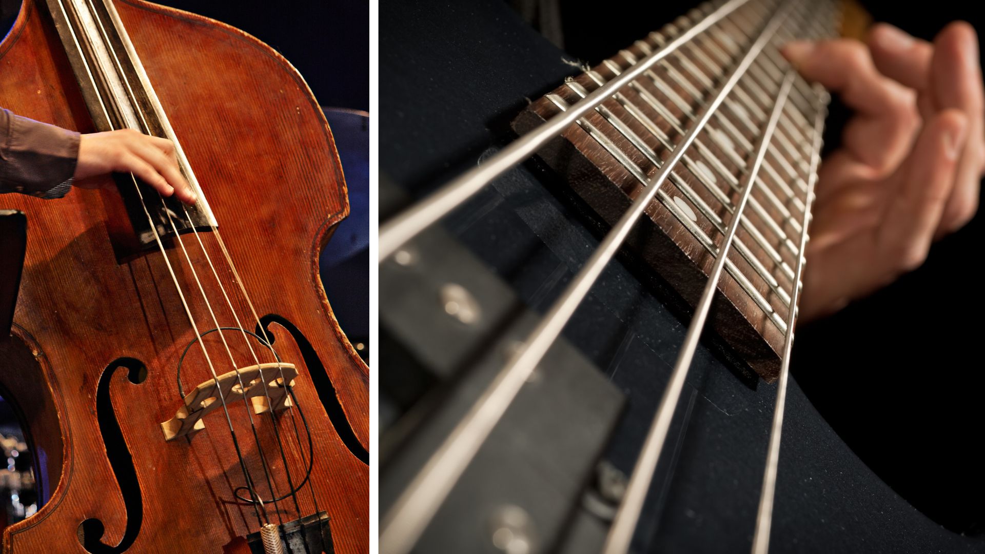 Evolution of Bass Guitars: From Stand-Up to Six Strings