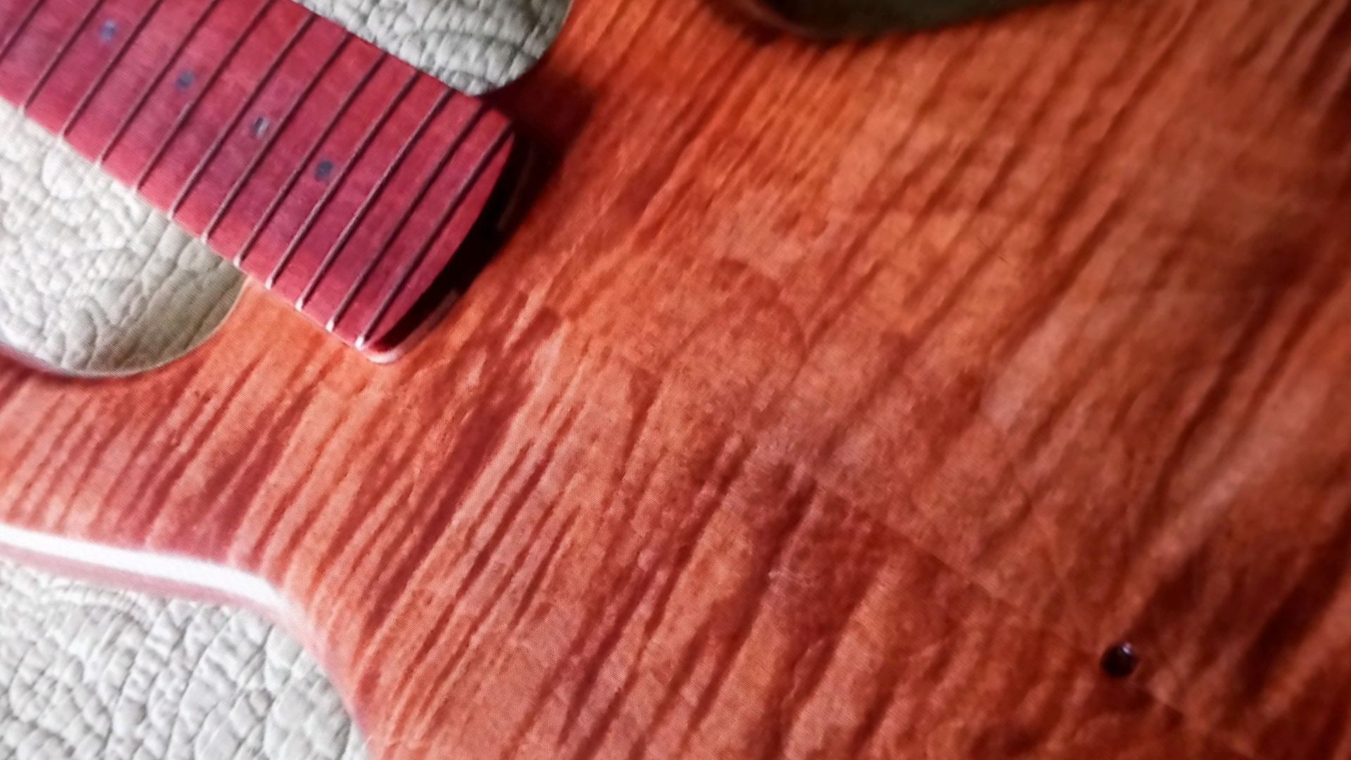 Understanding the Sonic Palette: Exploring the Diversity of Electric Bass Body Types